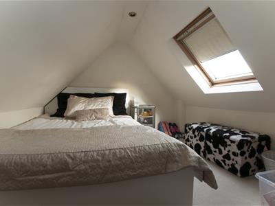 Picture 16